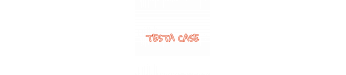Logo Testa Case